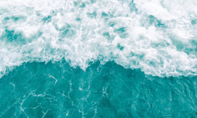 Turquoise olive green gentle breeze ocean wave during summer